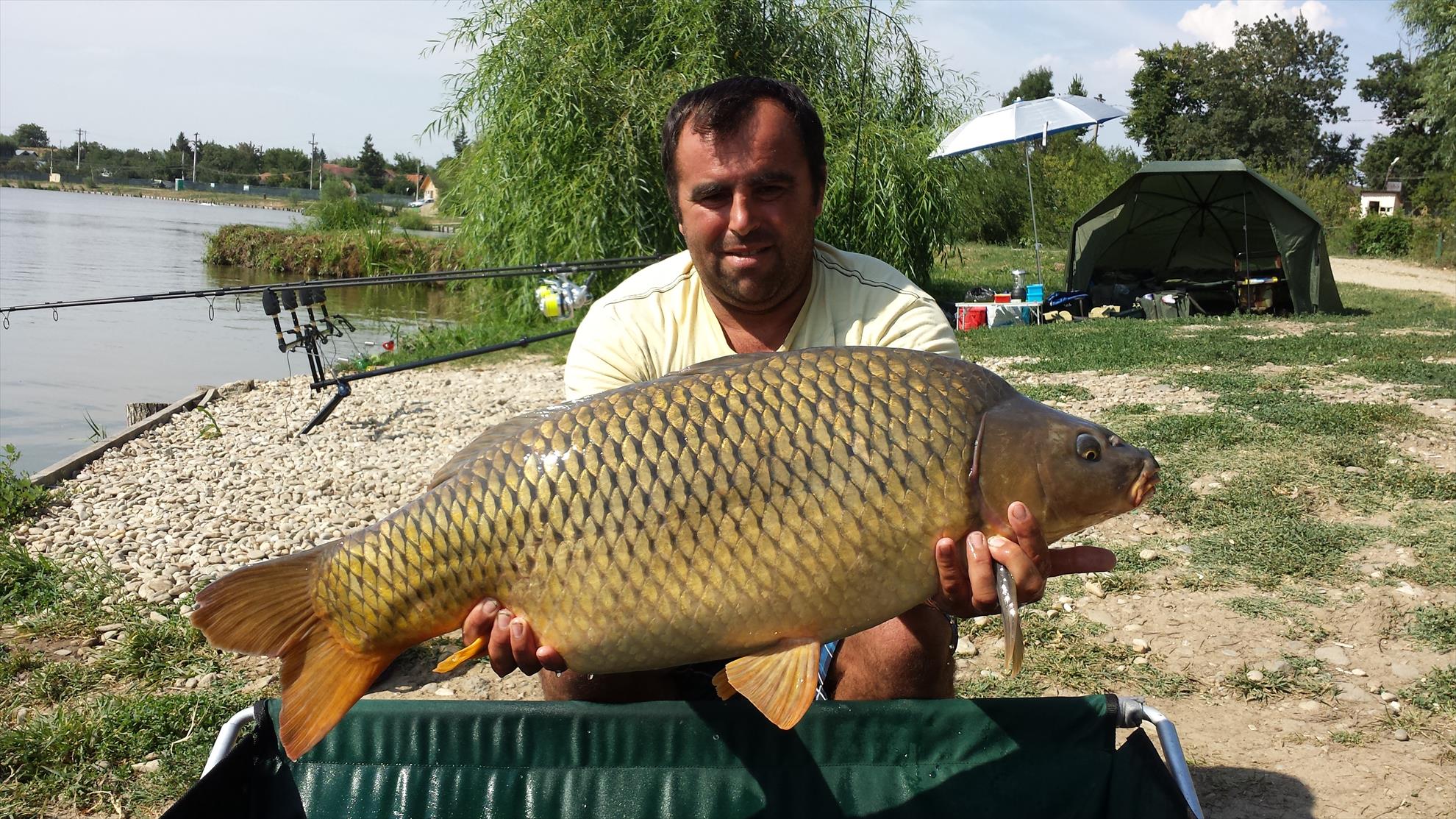 Hermes Peris 10 - 11 august 2015 - Acelasi peste alt fotograf !!!